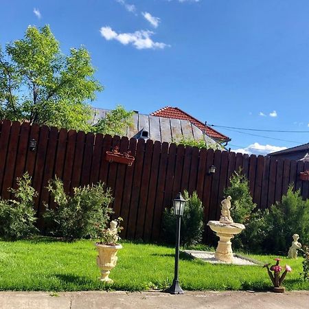 Отель Casa Alexia Хацег Экстерьер фото