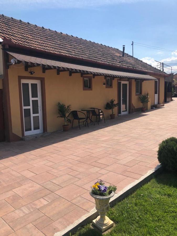 Отель Casa Alexia Хацег Экстерьер фото
