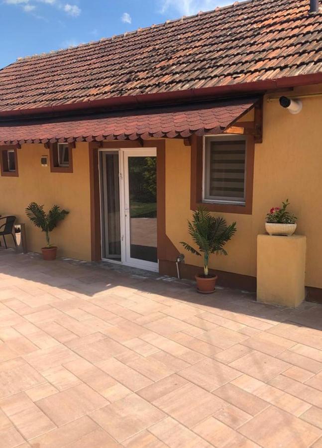 Отель Casa Alexia Хацег Экстерьер фото