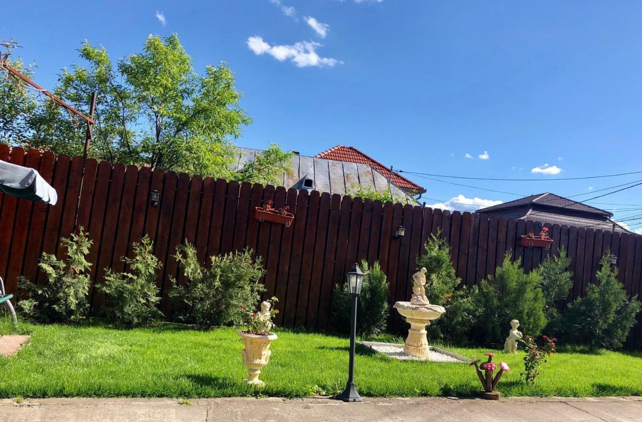 Отель Casa Alexia Хацег Экстерьер фото